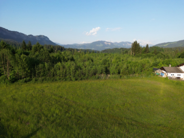 Sonnige Baugrundstücke in Bestlage mit Kaiserblick – Going am Wilden Kaiser, 6353 Going am Wilden Kaiser, Wohngrundstück