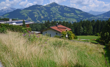 Hanggrundstück in sonniger Panoramalage, 6361 Hopfgarten, Wohngrundstück